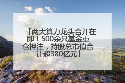 两大算力龙头合并在即！500余只基金重仓押注，持股总市值合计超380亿元