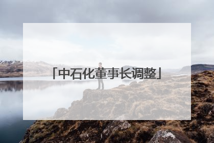 中石化董事长调整