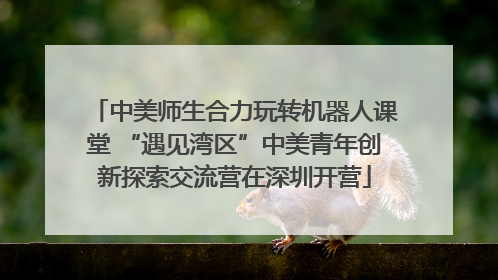 中美师生合力玩转机器人课堂 “遇见湾区”中美青年创新探索交流营在深圳开营