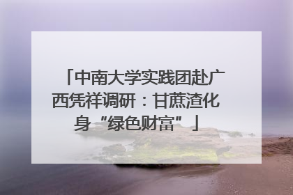中南大学实践团赴广西凭祥调研：甘蔗渣化身“绿色财富”