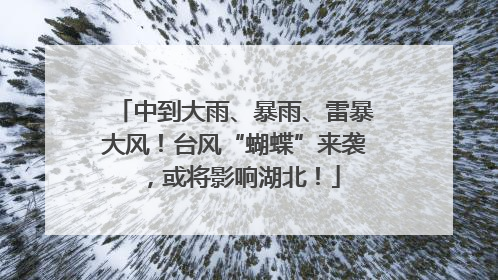 中到大雨、暴雨、雷暴大风！台风“蝴蝶”来袭，或将影响湖北！