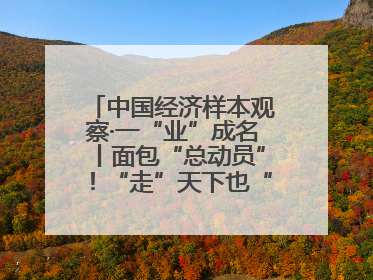 中国经济样本观察·一“业”成名丨面包“总动员”！“走”天下也“香”家乡
