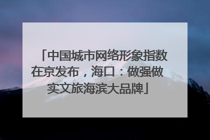 中国城市网络形象指数在京发布，海口：做强做实文旅海滨大品牌