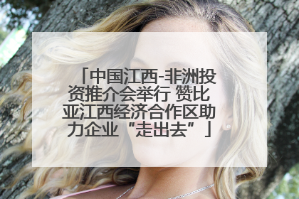 中国江西-非洲投资推介会举行 赞比亚江西经济合作区助力企业“走出去”