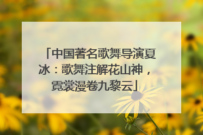 中国著名歌舞导演夏冰：歌舞注解花山神，霓裳漫卷九黎云