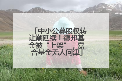 中小公募股权转让潮延续！德邦基金被“上架”，嘉合基金无人问津