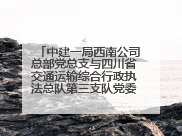 中建一局西南公司总部党总支与四川省交通运输综合行政执法总队第三支队党委、万源市草坝镇莲花院村党支部开展党建联建