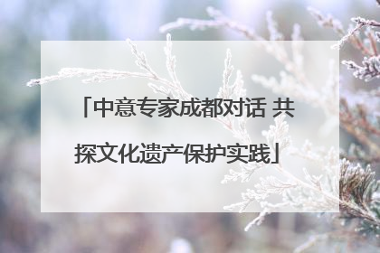 中意专家成都对话 共探文化遗产保护实践