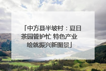 中方县半坡村：夏日茶园管护忙 特色产业绘就振兴新图景