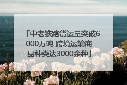 中老铁路货运量突破6000万吨 跨境运输商品种类达3000余种