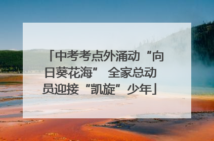 中考考点外涌动“向日葵花海” 全家总动员迎接“凯旋”少年