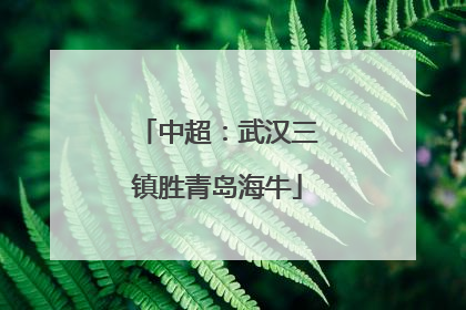 中超：武汉三镇胜青岛海牛
