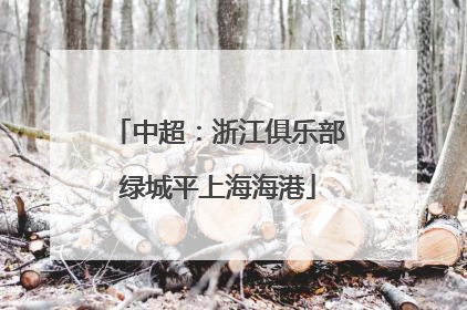 中超：浙江俱乐部绿城平上海海港