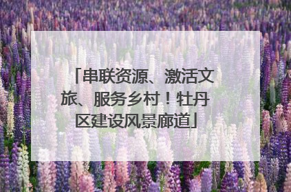 串联资源、激活文旅、服务乡村！牡丹区建设风景廊道