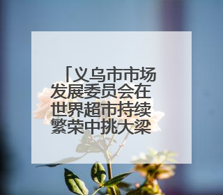 义乌市市场发展委员会在世界超市持续繁荣中挑大梁、当先锋