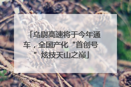 乌尉高速将于今年通车，全国产化“首创号”炫技天山之巅
