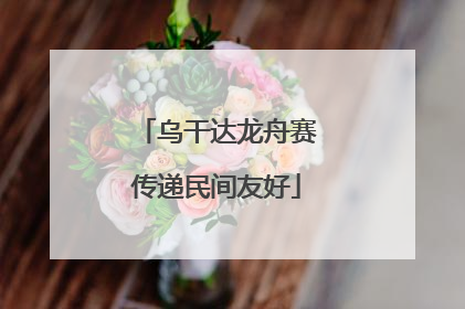 乌干达龙舟赛传递民间友好