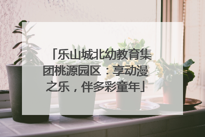 乐山城北幼教育集团桃源园区：享动漫之乐，伴多彩童年