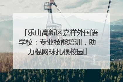 乐山高新区嘉祥外国语学校：专业技能培训，助力棍网球扎根校园