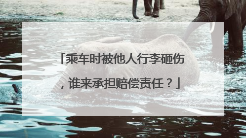 乘车时被他人行李砸伤，谁来承担赔偿责任？