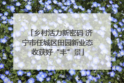 乡村活力新密码 济宁市任城区田园新业态收获好“丰”景