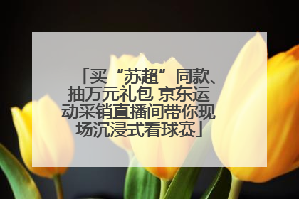 买“苏超”同款、抽万元礼包 京东运动采销直播间带你现场沉浸式看球赛