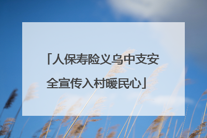 人保寿险义乌中支安全宣传入村暖民心