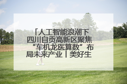 人工智能浪潮下 四川自贡高新区聚焦“车机龙医算数”布局未来产业丨美好生活有“盐”味