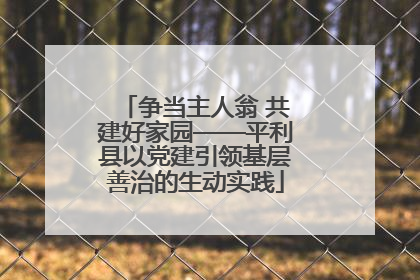 争当主人翁 共建好家园——平利县以党建引领基层善治的生动实践