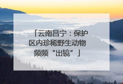 云南昌宁：保护区内珍稀野生动物频频“出镜”