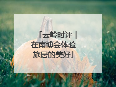 云岭时评｜在南博会体验旅居的美好