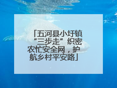 五河县小圩镇“三步走”织密农忙安全网，护航乡村平安路