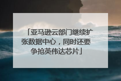 亚马逊云部门继续扩张数据中心，同时还要争抢英伟达芯片