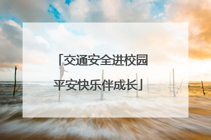 交通安全进校园 平安快乐伴成长