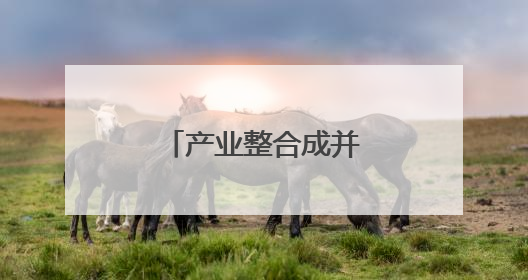 产业整合成并购重组主旋律