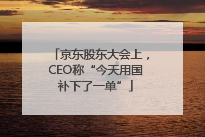 京东股东大会上，CEO称“今天用国补下了一单”