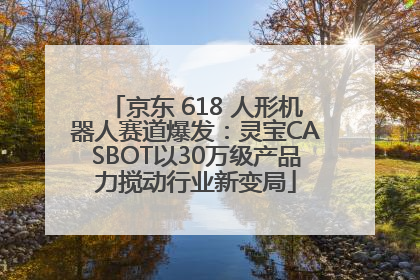 京东 618 人形机器人赛道爆发：灵宝CASBOT以30万级产品力搅动行业新变局