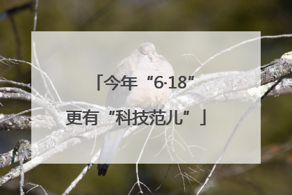 今年“6·18”更有“科技范儿”