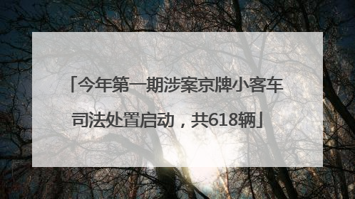 今年第一期涉案京牌小客车司法处置启动，共618辆