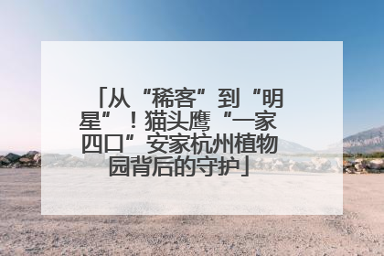从“稀客”到“明星”！猫头鹰“一家四口”安家杭州植物园背后的守护