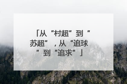 从“村超”到“苏超”，从“追球”到“追求”