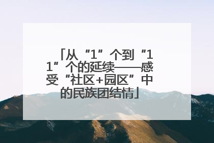 从“1”个到“11”个的延续——感受“社区+园区”中的民族团结情