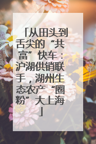 从田头到舌尖的“共富”快车：沪湖供销联手，湖州生态农产“圈粉”大上海