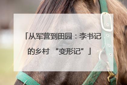 从军营到田园：李书记的乡村 “变形记”