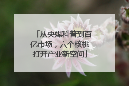 从央媒科普到百亿市场，六个核桃打开产业新空间