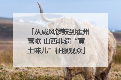 从威风锣鼓到霍州莺歌 山西非遗“黄土味儿”征服观众