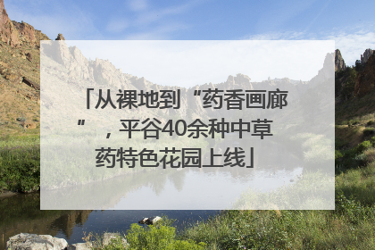 从裸地到“药香画廊”，平谷40余种中草药特色花园上线