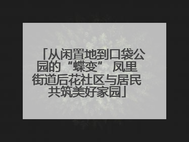 从闲置地到口袋公园的“蝶变” 凤里街道后花社区与居民共筑美好家园