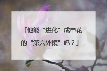 他能“进化”成申花的“第六外援”吗？