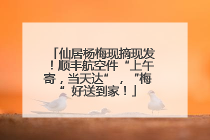 仙居杨梅现摘现发！顺丰航空件“上午寄，当天达”，“梅”好送到家！